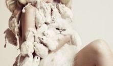 迪希娅爆料最新,揭秘娱乐圈幕后真相